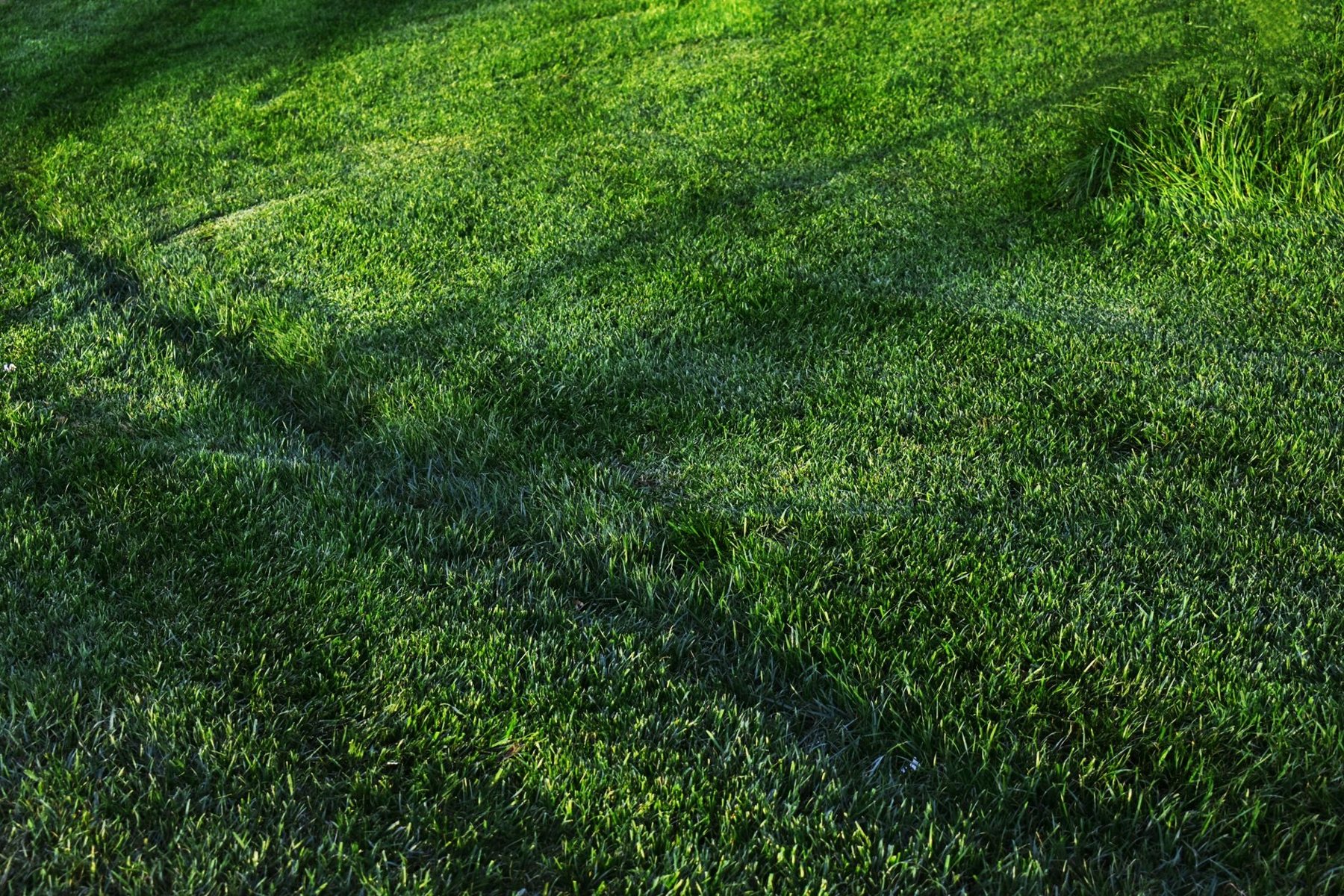 Artificial turf installation in Tolleson, AZ